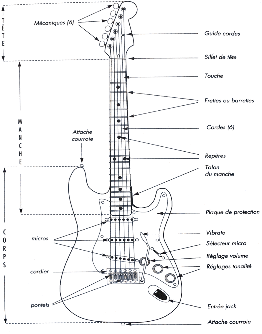 Anatomie et Composition de la Guitare Électrique